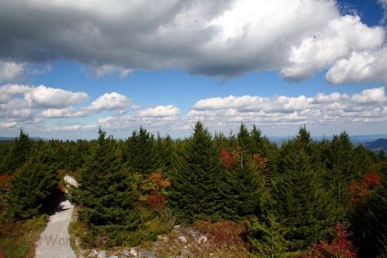 Spruce Knob 2