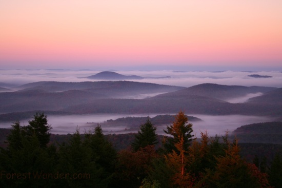 Spruce Knob Morning Sky 14