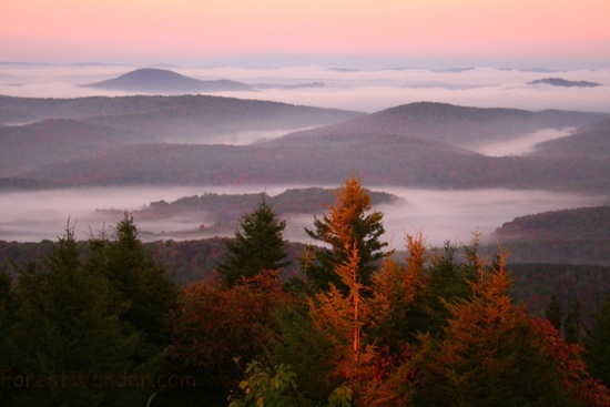 Spruce Knob Morning Sky 16