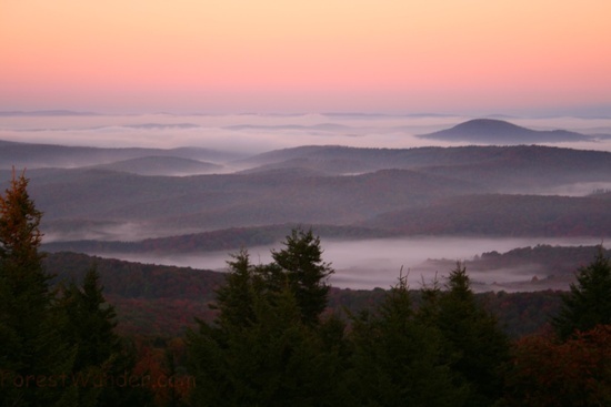 Spruce Knob Morning Sky 17