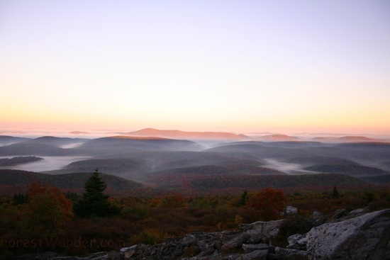 Spruce Knob Morning Sky 19