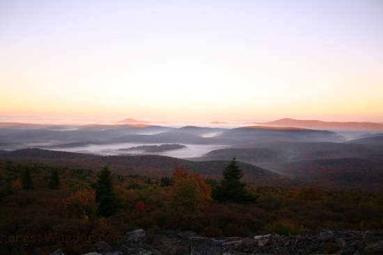 Spruce Knob Morning Sky 20