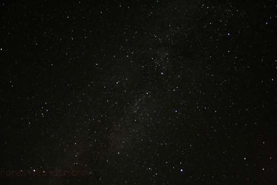 Spruce Knob Night Sky 4