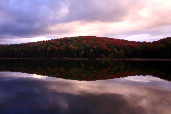 Spruce Knowb Fall Lake