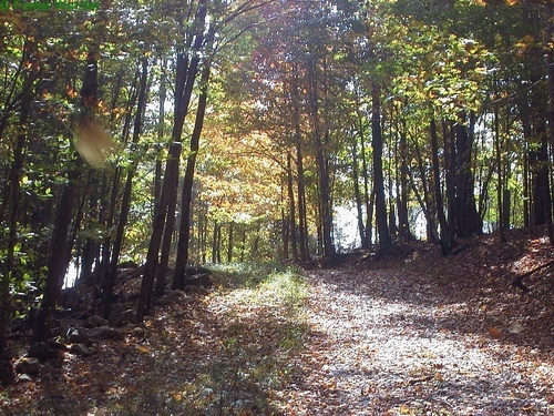 Trail Cass