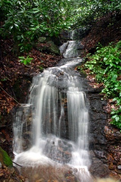 Waterfall Run In The Forest
