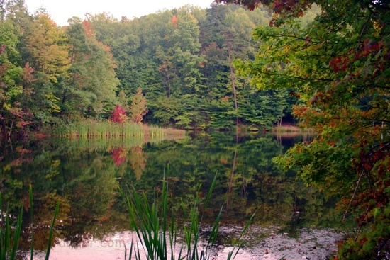 Winecellar Lake Fall 4