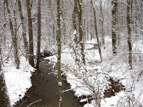 Winter Snow Stream