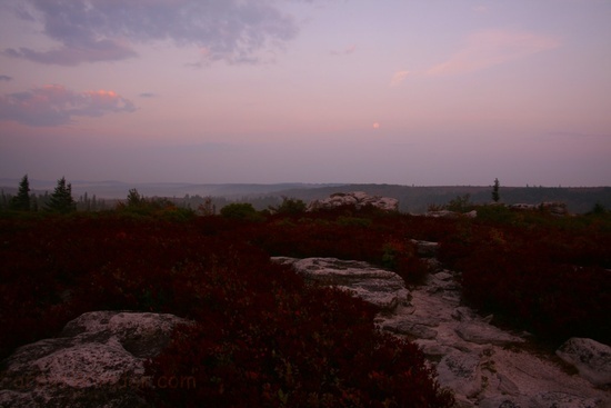 Dolly Sods Fall Morning 3