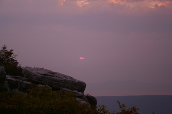 Dolly Sods Fall Morning 5