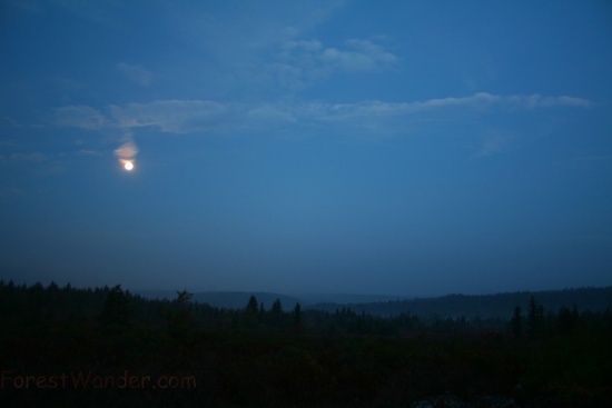 Dolly Sods Mountains Moon