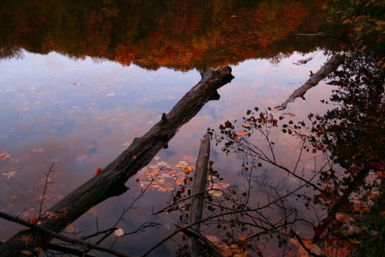 Fall Log Lake