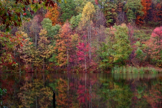 Fall Wine Cellar Lake