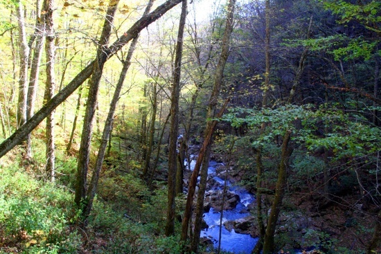 Hills Creek Gorge