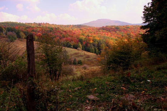 Mountain Farm Fence