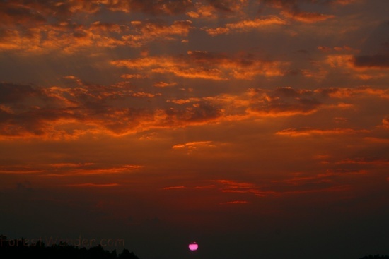 Summer Sunset in the Mountains