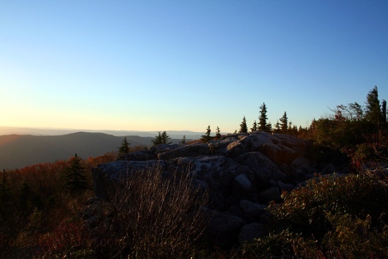 Mountain View Dolly Sods