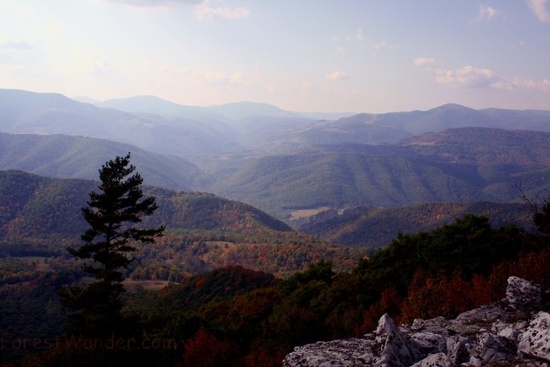 North Fork Mountain 3