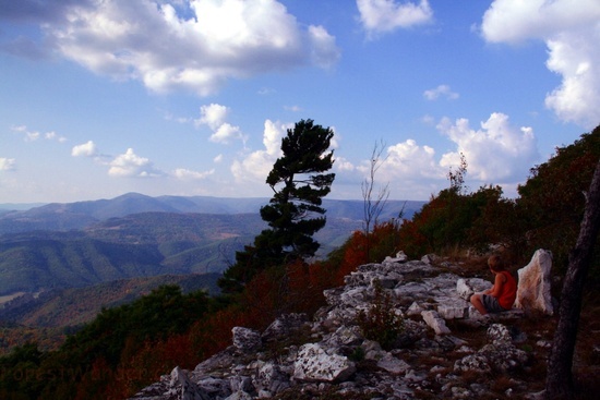 North Fork Mountain 4