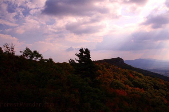 North Fork Mountain 6