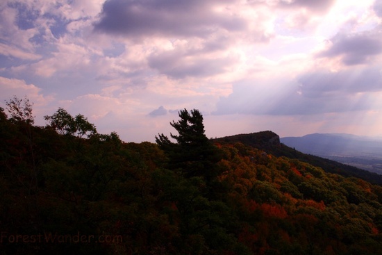 North Fork Mountain 6