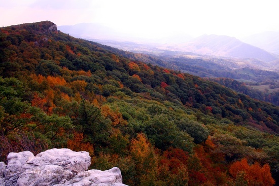 North Fork Mountain 7