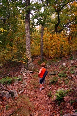 North Fork Trail 2