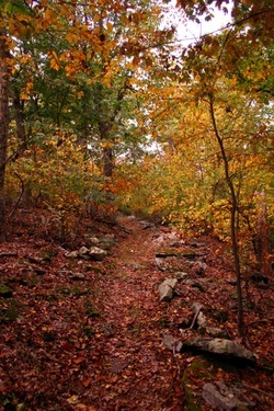 North Fork Trail 3