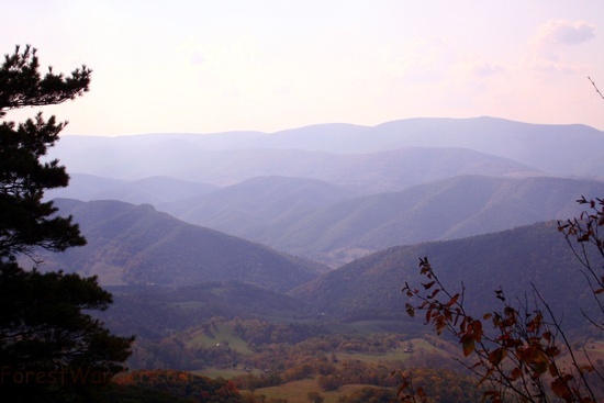 North Fork Trail 8