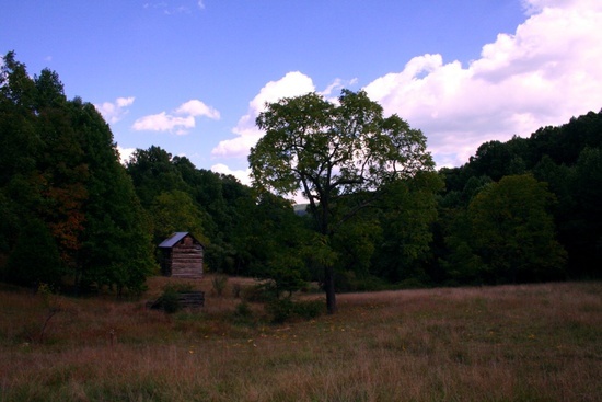 Old Farm House 5