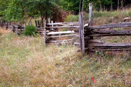 Old Fence