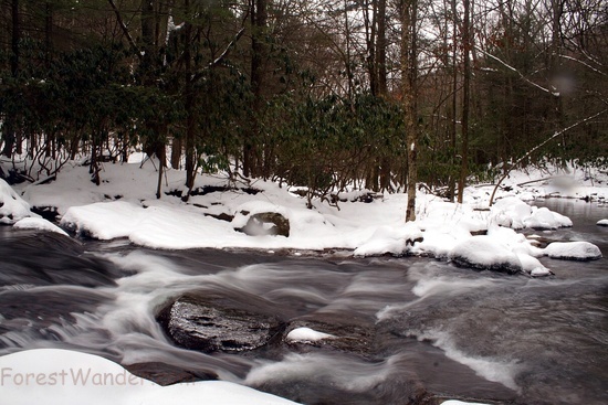 Rushing Winter Stream