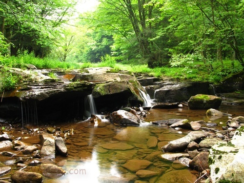 Seneca Creek Camp Waterfalls