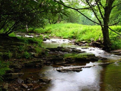 Seneca Creek Camp