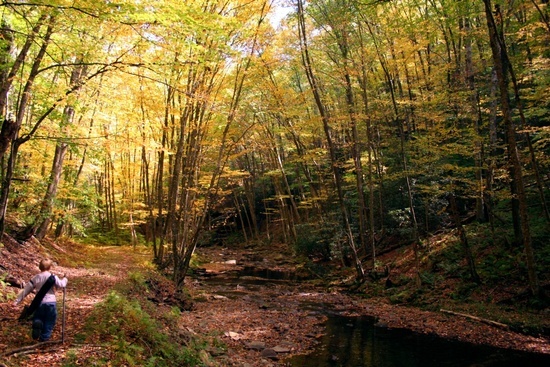 Seneca Creek Trail 6