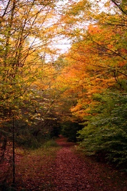 Seneca Creek Trail 7