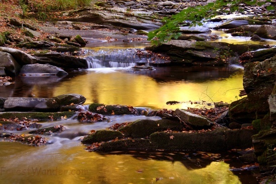 Seneca Creek Waterfall 16