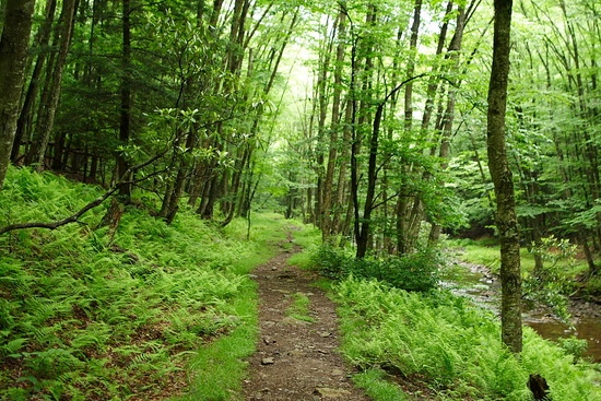 Seneca Hiking Trail