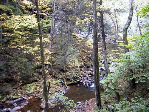 Trail Hills Creek