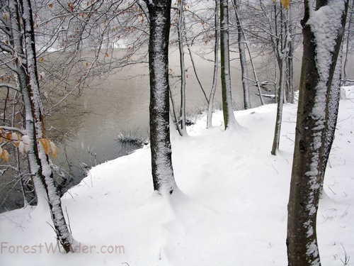 Winter Trail Lake