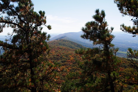 Along The North Fork Mountain Trail