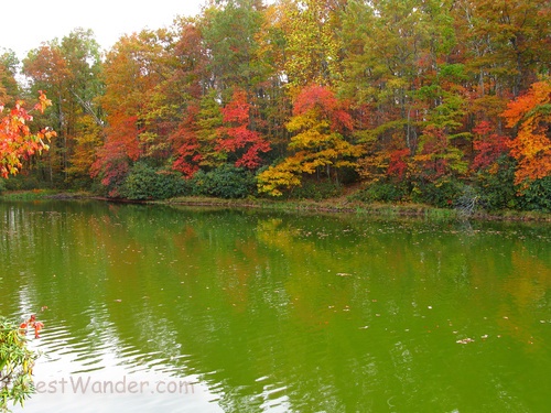 Autumn Lake Reflection