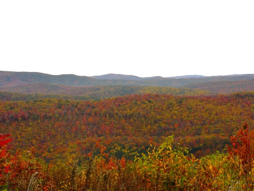 Autumn Mountain View