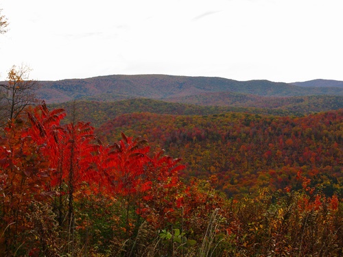 Autumn View Mountains