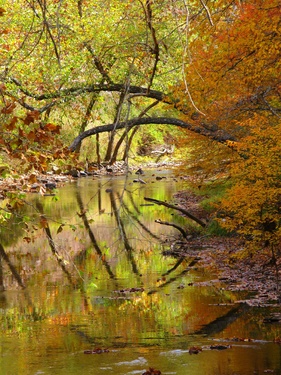 Crane Creek Fall Reflections