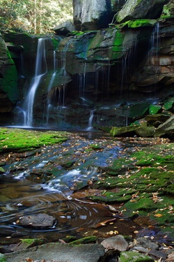 Elakala Waterfalls Vertical