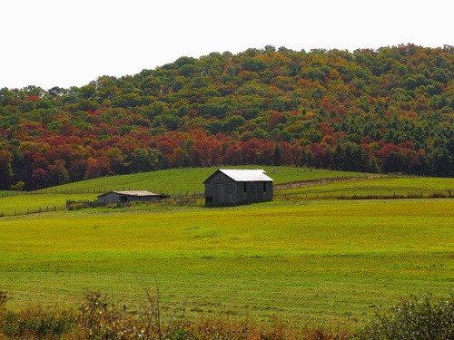 Fall Barn Field