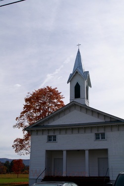 Fall Church Trees
