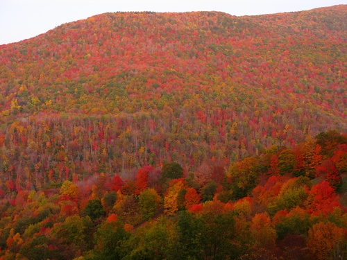 Fall Colors Mountains