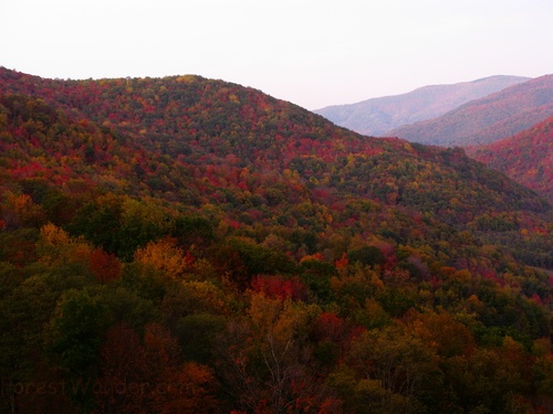 Fall Mountains